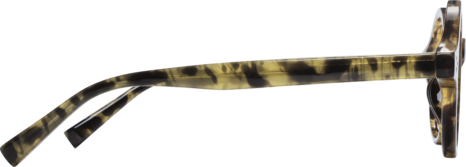 Dutt Round Tortoiseshell Eyeglasses | Fytoo Optical