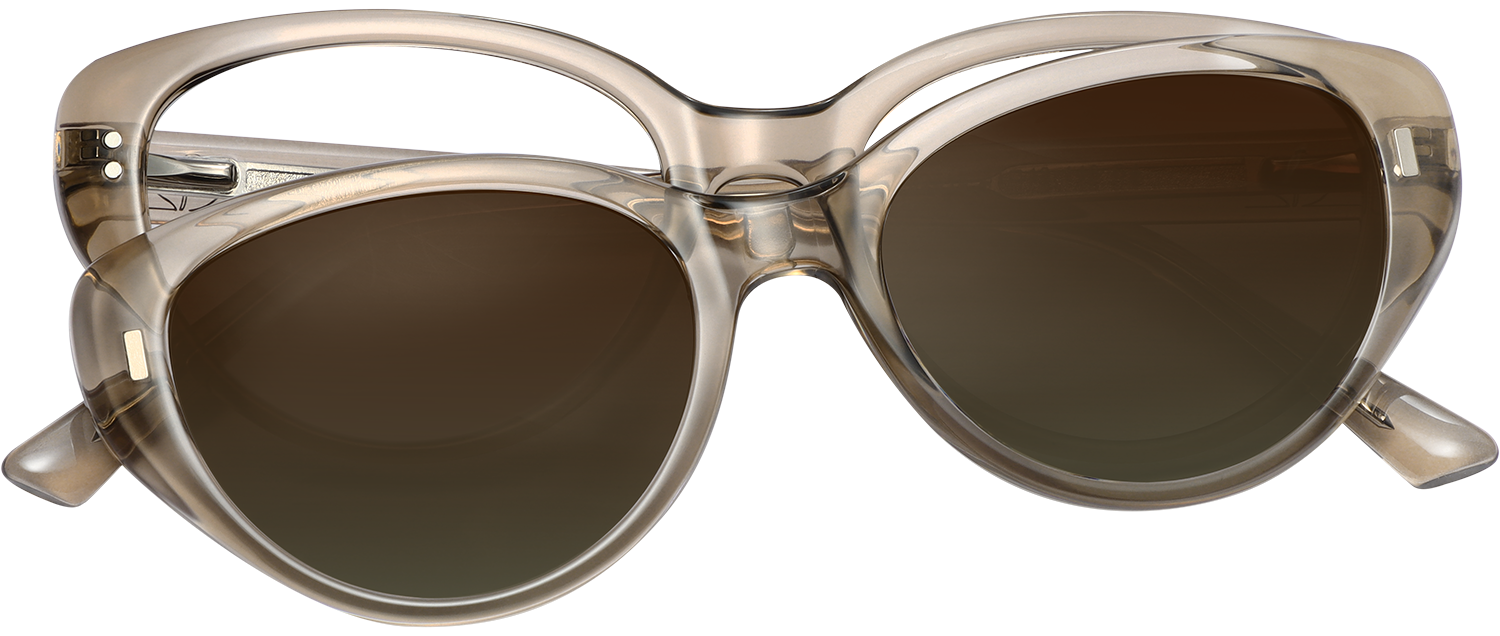 Cheap Spring Clip For Frame Plenrix Cateye Brown Eyeglasses | Fytoo Optical