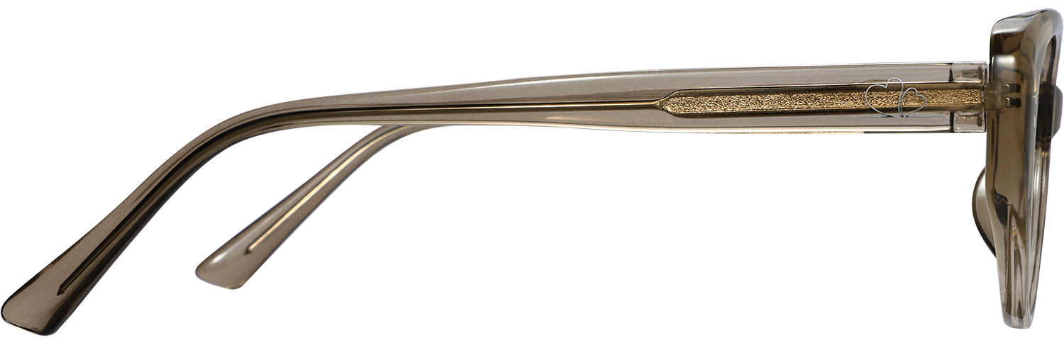 Cheap Spring Clip For Frame Plenrix Cateye Brown Eyeglasses | Fytoo Optical