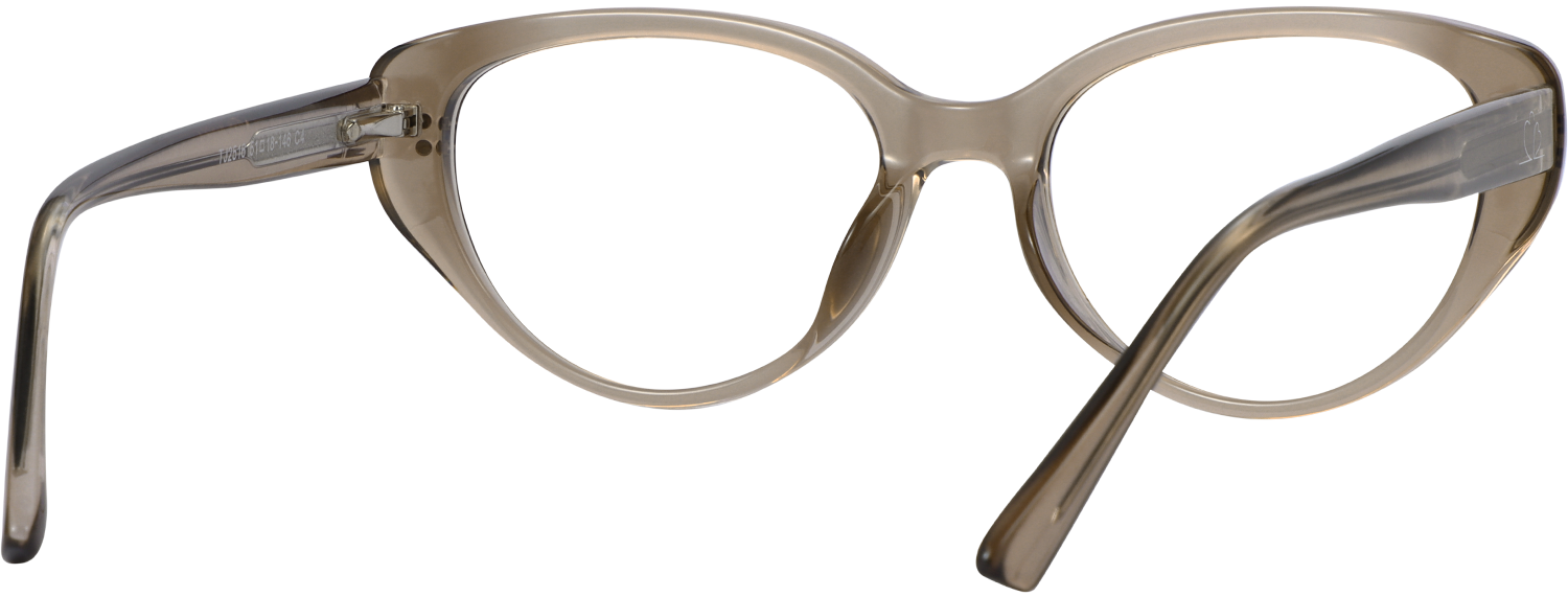 Cheap Spring Clip For Frame Plenrix Cateye Brown Eyeglasses | Fytoo Optical
