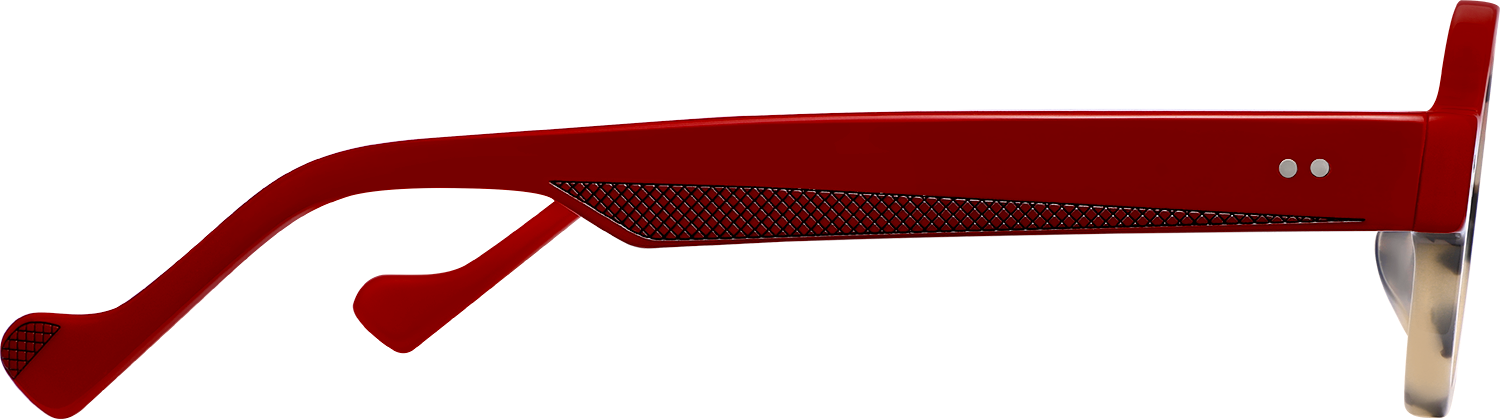 Joy Round Tortoiseshell Eyeglasses | Fytoo Optical