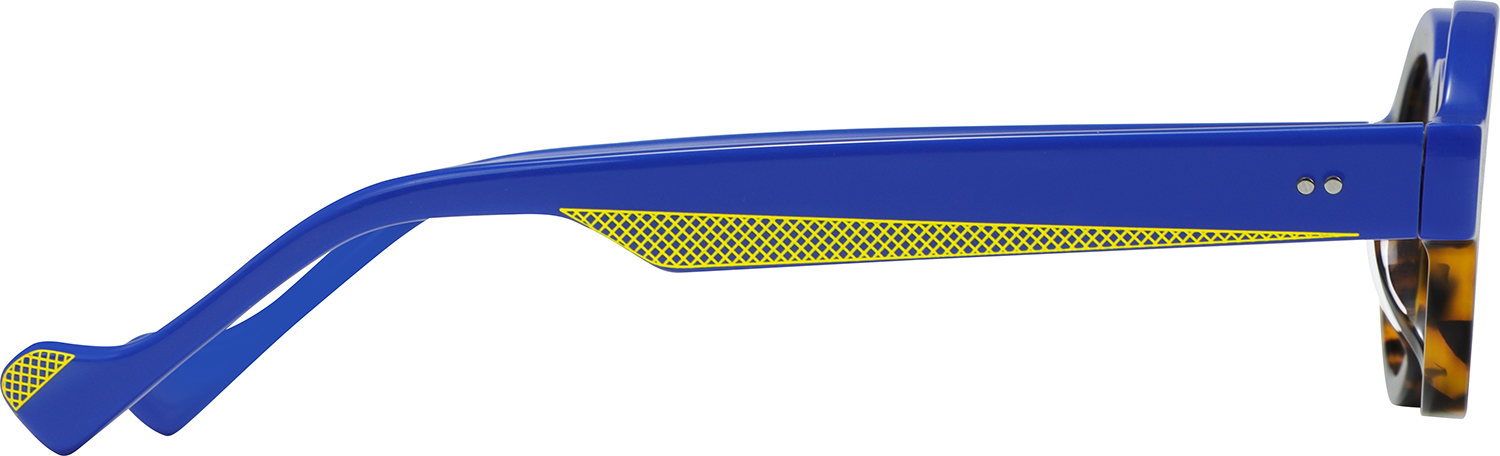 Joy Round Tortoiseshell Eyeglasses | Fytoo Optical