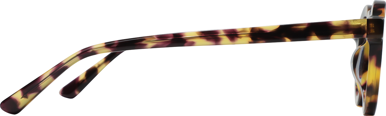 Janick Round Tortoiseshell Eyeglasses | Fytoo Optical
