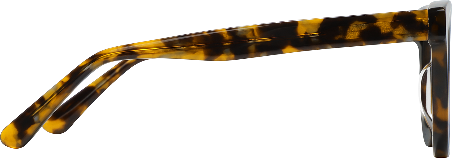 Charley Round Tortoiseshell Eyeglasses | Fytoo Optical