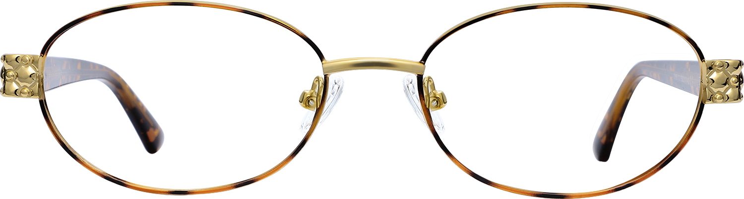 Fytoo Oval Tortoiseshell Metal TR90  Eyeglasses-image-FT295430-01