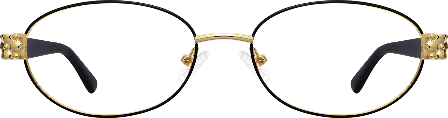 Fytoo Oval Black Metal TR90  Eyeglasses-image-FT295430-03