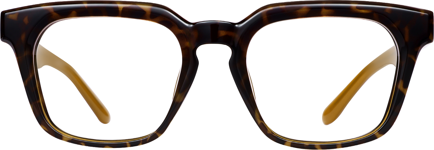 Fytoo Square Tortoiseshell Acetate Full Rim Eyeglasses-image-FT344103-01