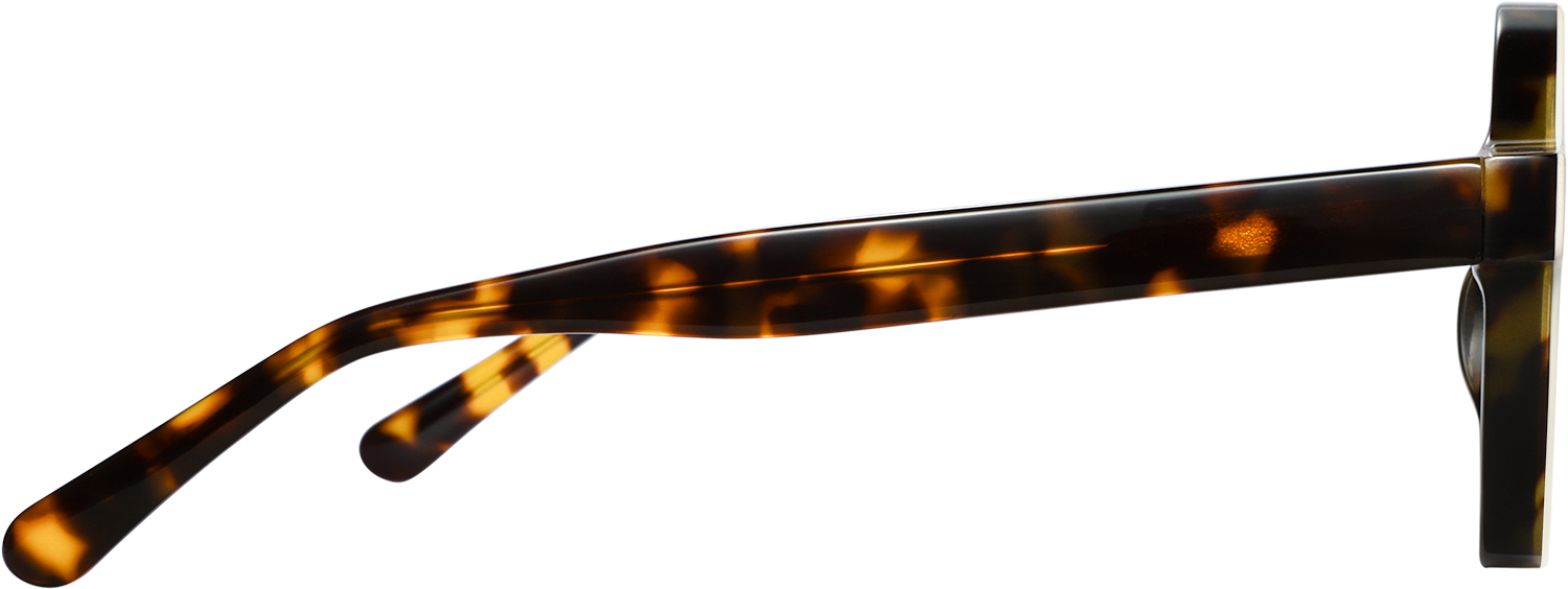 Cheap Spring Clip For Frame Hestia Round Tortoiseshell Eyeglasses | Fytoo Optical