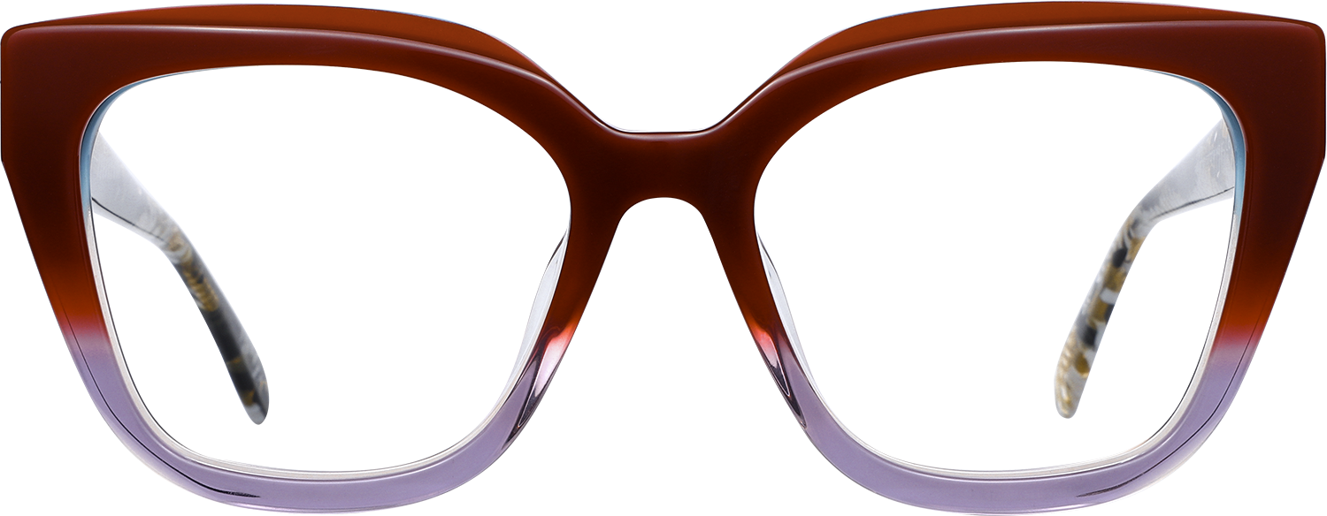 Fytoo Geometric Two Tone Acetate Full Rim Eyeglasses-image-FT719156-02