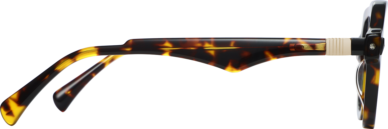 Side view of Fytoo Aviator Tortoiseshell Acetate Full Rim Eyeglasses