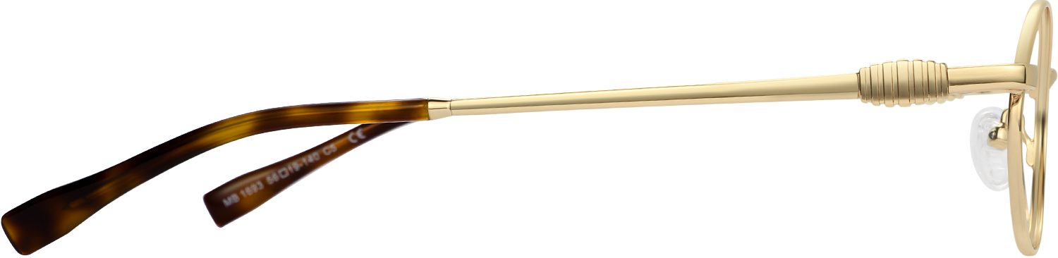 Side view of Fytoo Oval Golden Metal Full Rim Eyeglasses