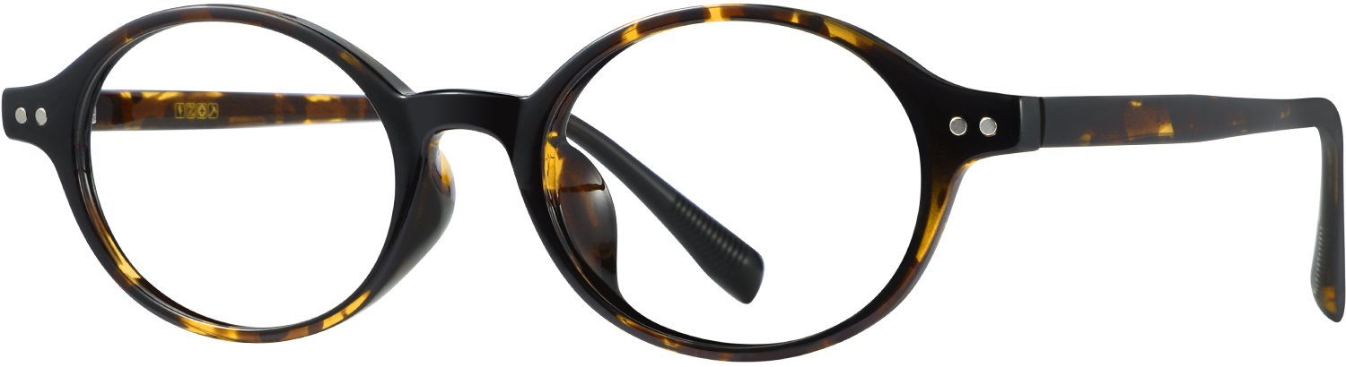 Side view of Fytoo Oval Tortoiseshell TR90 Full Rim Eyeglasses