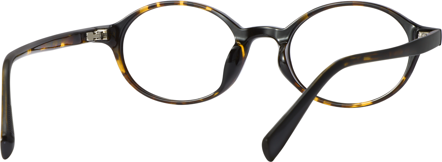 Side view of Fytoo Oval Tortoiseshell TR90 Full Rim Eyeglasses