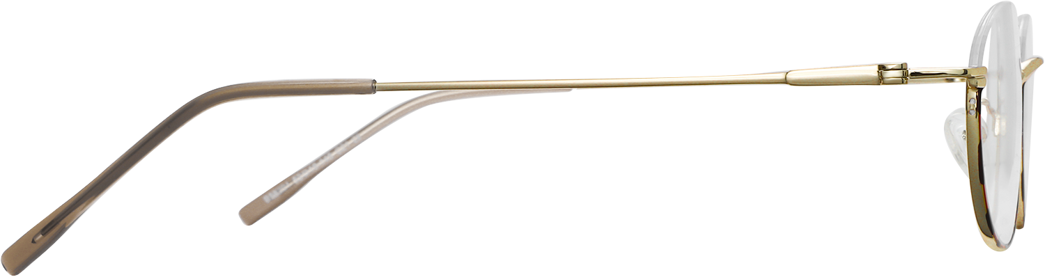 Side view of Fytoo Oval Tortoiseshell Metal Semi Rimless Eyeglasses