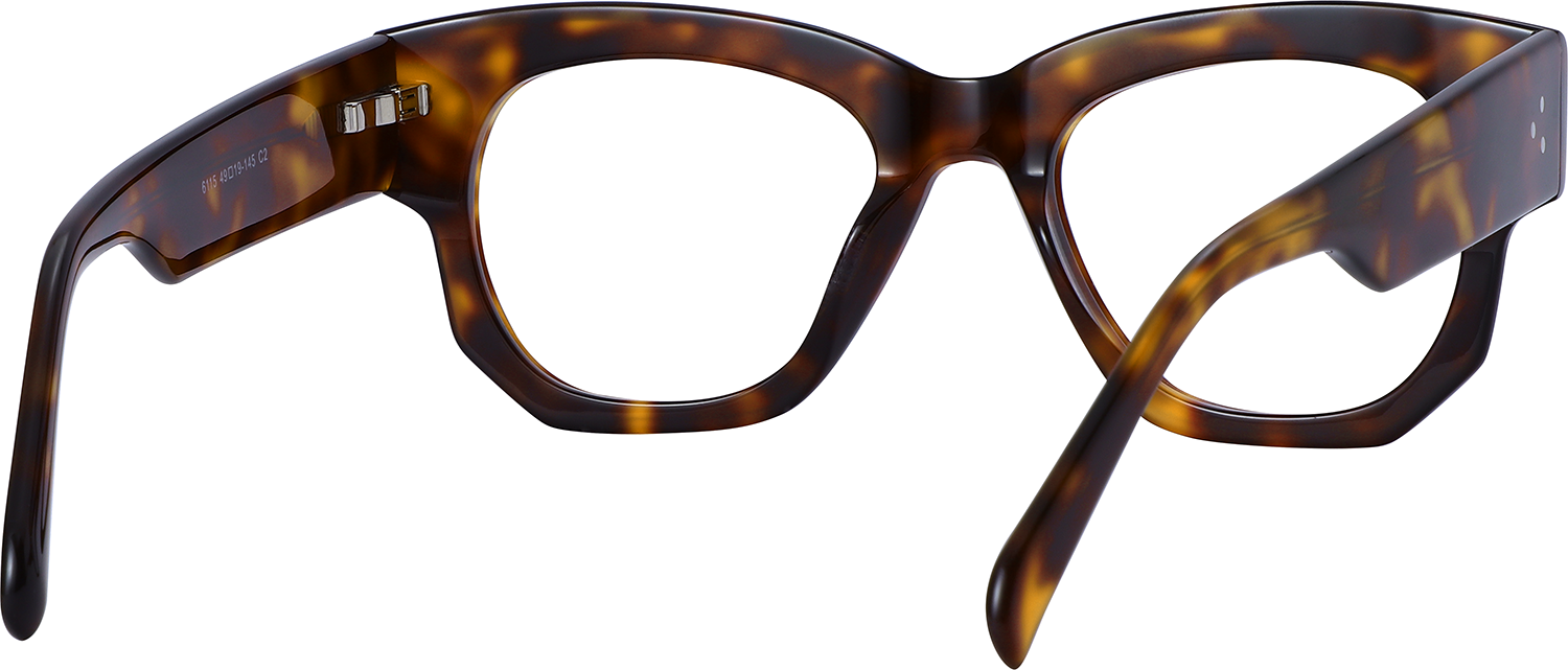Side view of Fytoo Geometric Tortoiseshell Acetate Full Rim Eyeglasses