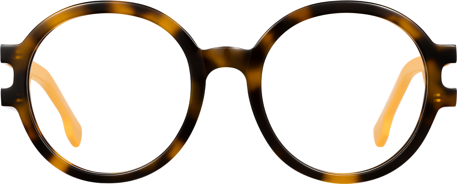 Fytoo Round Tortoiseshell Acetate Full Rim Eyeglasses-image-FT948505-02