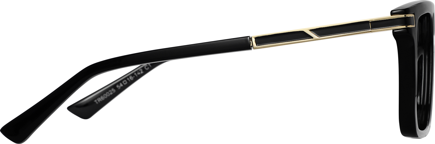 Side view of Fytoo Aviator Black TR90 Full Rim Eyeglasses